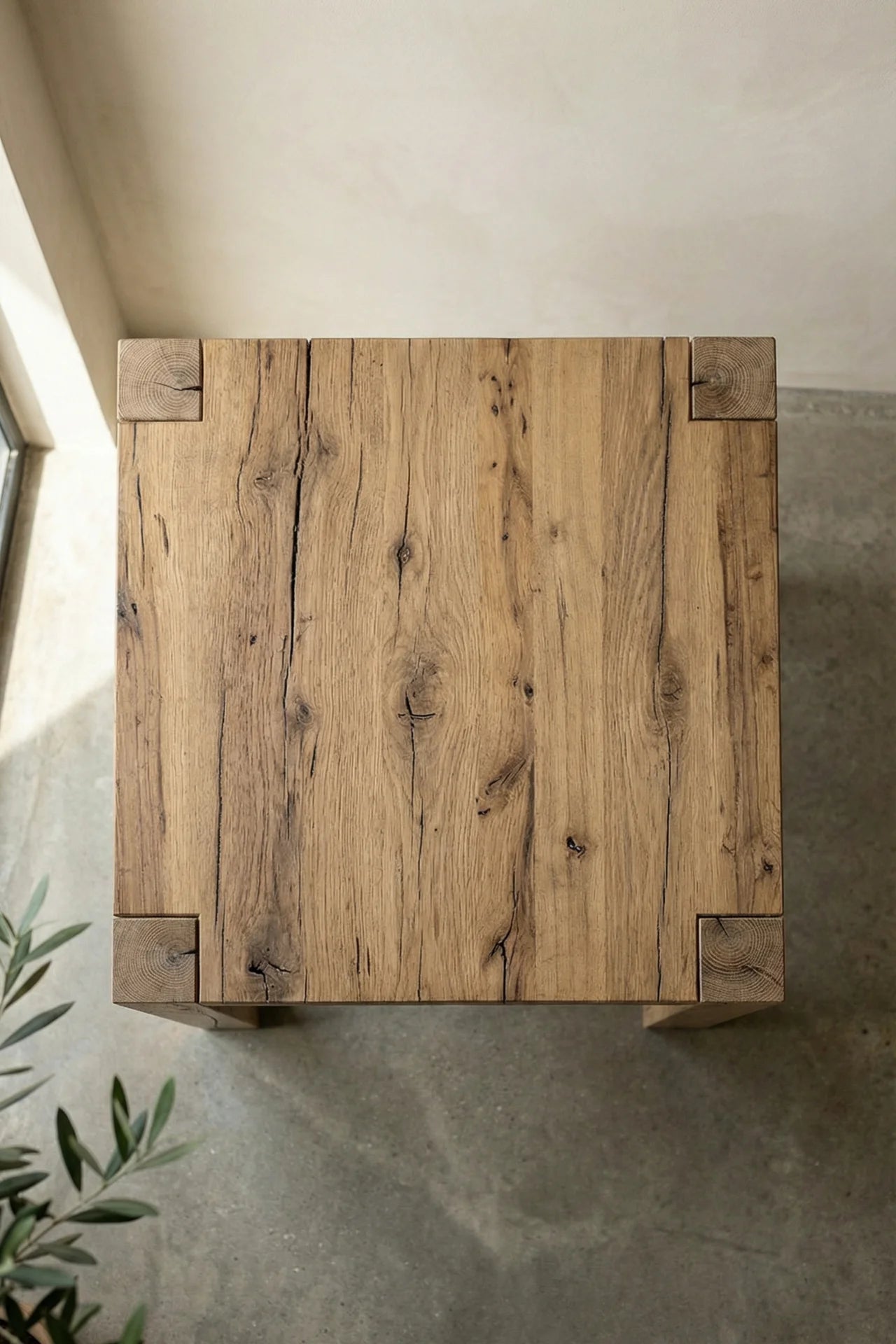 Driftwood reclaimed wood dining table front view with olive tree in a minimal contemporary interior